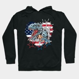 Funny 4th Of July 2021 Fourth Of July For Men's And Women's For 4th Of July Celebration Birthday Gift Hoodie